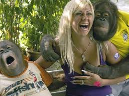 Monkeys share bugs - To get to know your fellow monkey, one should pick the bugs off.   To get to first base, one should find the bugs.  To win the game, find all the bugs and you will know your fellow monkey better.