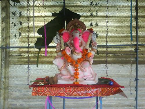 Festival celebration: Ganesh Chaturthi - Ganesha Chaturthi is celebrated mostly in North-western India.