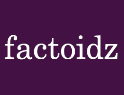 Factoidz - Factoidz, articles