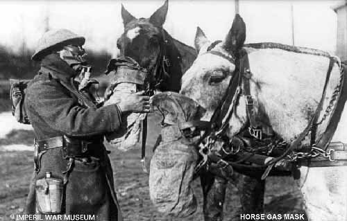 Gas masks - In WWI horses were used alot to haul artillary into battle. Sometimes ,like humans,they had to wear gas masks.