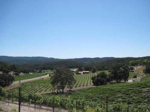 The View Over My Back Fence in July, 2011 - This view looks down toward an intersection that has six tasting rooms on or just off it. The vineyards belong to them. I live on one of the main highways in North San Luis Obispo County Wine County.
