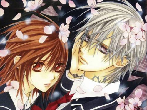 vampire knight - cross academy is attended by two groups of students:the day class and night class. Yuuki Cross and Zero Kiryu are the guardians of the school,there to protect the day class from the academy's dark secret: the night class is full of vampires.