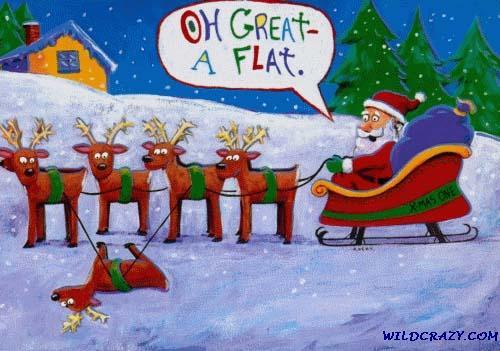 Xmas Humor - Funny
