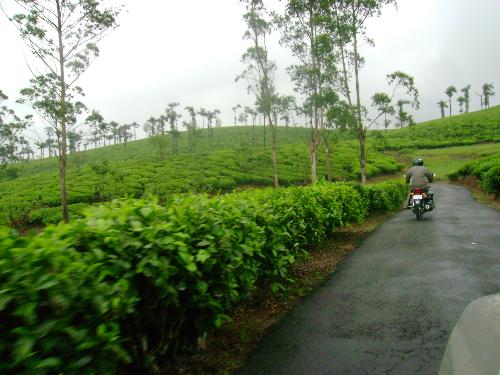 Munnar, Kerala, India - this is a beautiful place in Nilgiri Hills