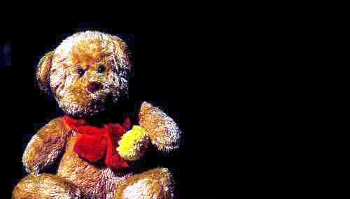 teddy - a bear teddy for kids.
