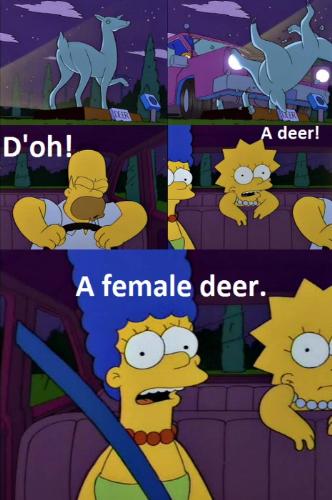 The Simpsons - D'oh, a female deer - From the episode 'Bart Gets An Elephant'
