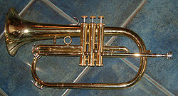 Flugel horn - It is a big trumpet.