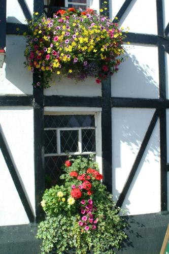 window box-a traditional look - window box with flowers-a traditional look