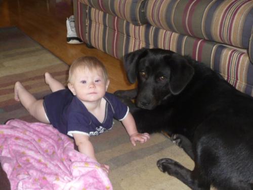 Bubba and Lillie - This Bubba,the Newfoundland?Lab cross with my great niece Lillie. They get along very well.