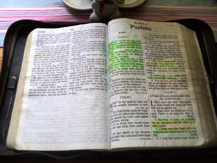 The Bible - The Psalms