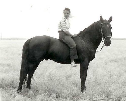 Liz Tayor - Liz Taylor on a Saddlebred while fimling the movie 'Giant'.