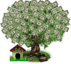 Money tree at home - Some time i wish how it would be like to have a tree in my backyard that grows money.