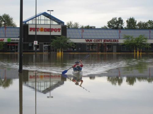 rescue - a hero rescues pets from pet store flood. good job vestal,ny pet depot boo to petco