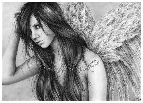 sketched.angel - tears of an angel is countless