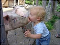 Love animals and save animals - I would request all mylot users to save wildlife.afterall they are also living creatures like us. We are cultivated so be cultivated. Never hurt them as they dont speak their sorrows,they are emotions less.Play with them teach them. I belive animals are more honest to human beings
