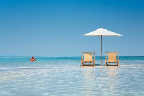 my wish will come true!!!!! -  i see myself in the near future taking vacation!!!!11