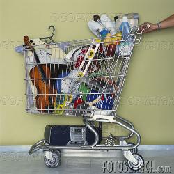 Full Shopping Cart - Full shopping cart