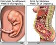 preg2 - pregnant