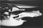 violin - violin