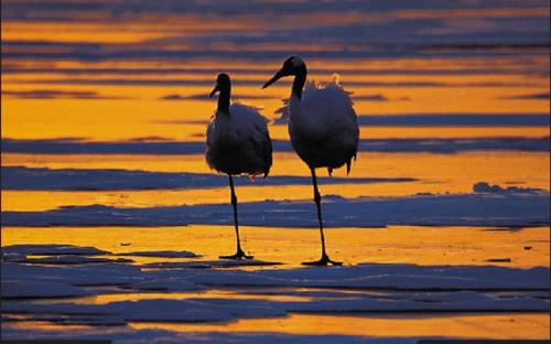 together... - nice place to be together