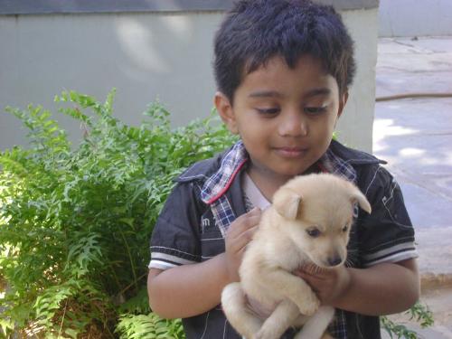 Anirudh with Puppy - My son loves his puppy and his expression shows the evidence for his love.