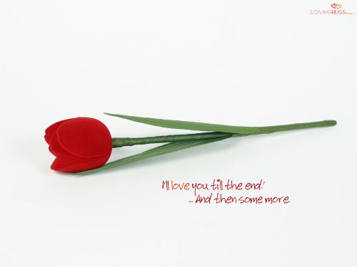 wallpaper - love wallpaper
