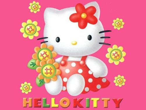 Hello Kitty - Do you collect Hello Kitty Stuffs?