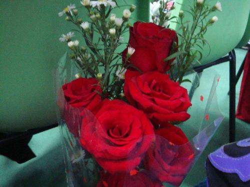 Flowers - Red Roses