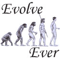 Every person to a better individual evolves throug - Human beings have evolved through other forms..But evolution continues even during human life.