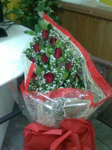 Red Roses - An expression of love