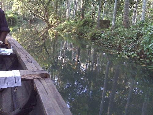 Wading through still waters in row boat - This still water rowing through backwaters is from Kumarkom , Kerala