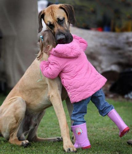 Show love - Very nice and cute picture of a little girl and her dog.
