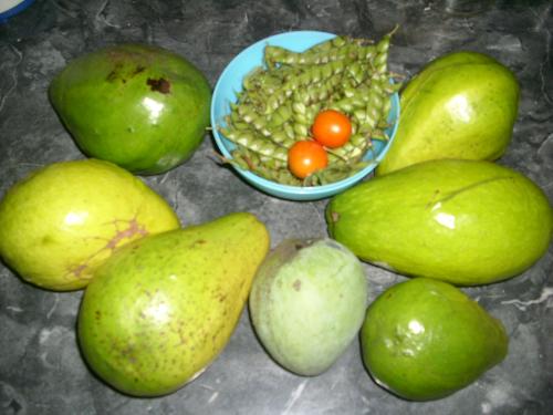 Harvesting of one day! - Avocadoes, mango, 2 cherry tomatoes (there were 4)gandules beans