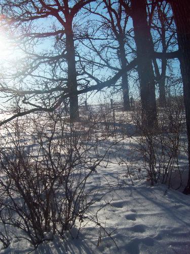 Winter scene - Winter scene on the farm