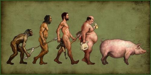 roink roink - pig humans