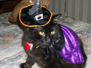 Halloween Costumes - Cospaly for Halloween