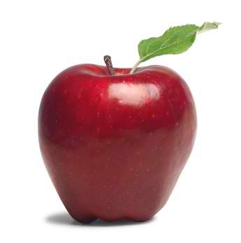 Apple - Apple in latin means evil.