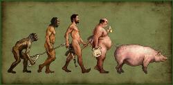 Human evolution - ... Human evolution - ...