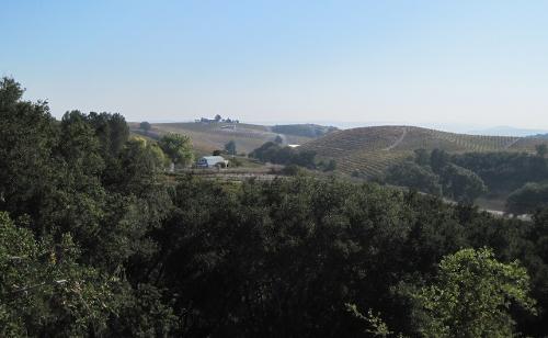 Our house - You will see our house in the middle of this picture. None of the vineyards belong to us. Our house is a converted barn. When I said we were the poor kids on the block, I meant it. 