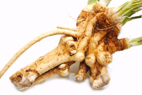 horseradish - this type of horseradish is availabe in our market