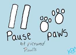 Paws versus Pause : Computer cannot recognize the  - Computer cannot recognize the difference between homophones.