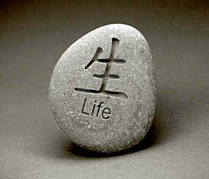 Life - Life is the best gift from our creator. Without life, we do not exist here today. We must treasure life, learn from it, and live it to the fullest.