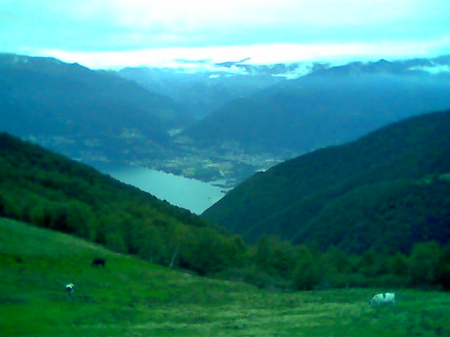 PARTY PANORAMA?