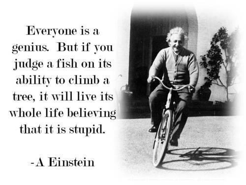 Einstien cycle - The Scientist whosw brain is known for the highest running brain is cyciling.