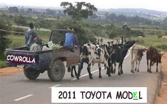 Cowrolla  - Latest car modal from the largest car maker in the world.