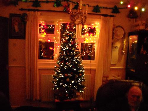 christmas lights in my living room - the christmas tree by the front living room window