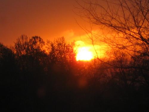 out my front door - sunrise in N.C.