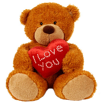 teddy bear - my precious gift.........