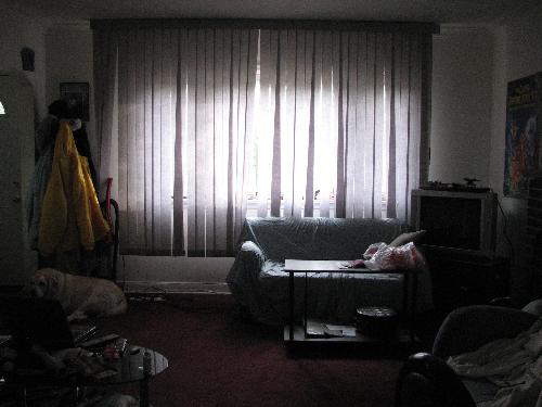 2 couches? - I want to know if having the other couch beside this one will work.