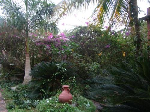 landscaped garden - This is a partial view of my garden